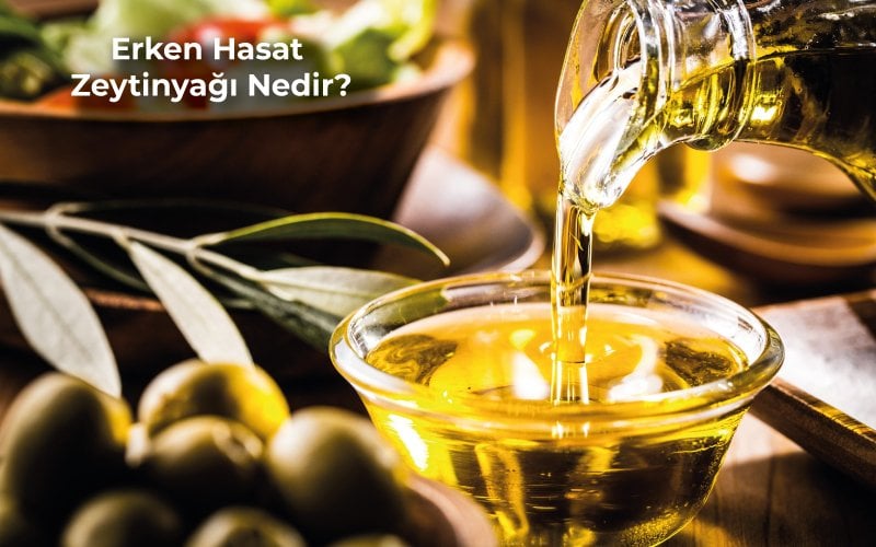 Erken Hasat Zeytinyağı Nedir